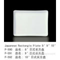rectangular porcelain plate